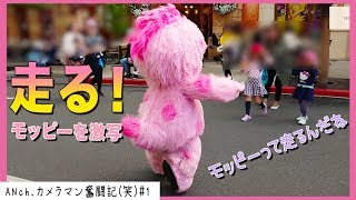 走るモッピー他【ANch.カメラマン奮闘記！笑 #1】