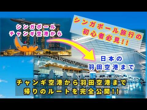 【シンガポールから帰国】日本の羽田空港に帰国するチャンギ空港での流れを全部見せます！