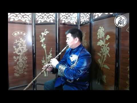 Traditional Chinese Musical Instruments女人花