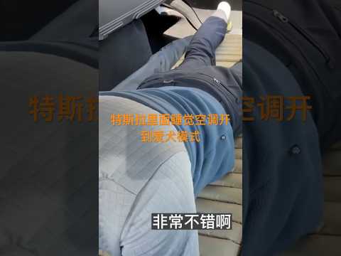 特斯拉爱犬模式 露营模式 很实用