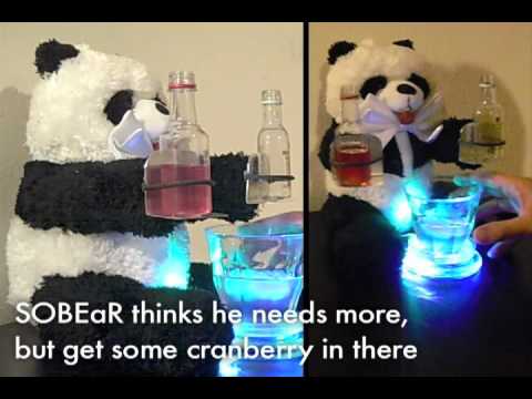 SOBEaR :: the responsible robot bartender