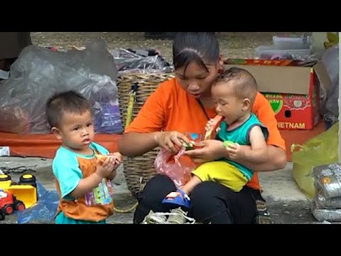 single mother makes banh chung and rescues drowning dog, and harvests corn