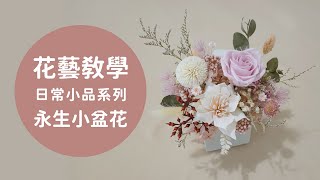 苳日乾燥花｜花藝教學｜永生擴香小盆花｜日常小品系列｜居家擺設系列