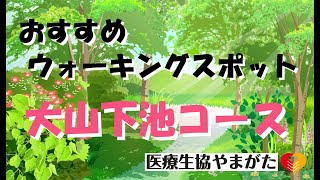 今月のおすすめウォーキングコース「大山下池」