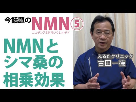 NMNとシマ桑の相乗効果について〜今話題のNMNについて⑤【ふるたクリニック・古田一徳】