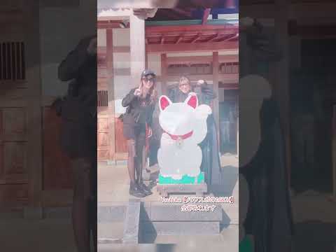 日本一招き猫があふれる映えスポット！本当に金運が上がってびっくり【豪徳寺】①あなどらないで