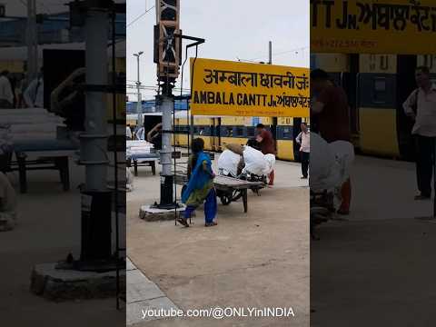 Ambala Cantt Junction railway station | 12014/ Shatabdi Express #indianrailways #train #shorts