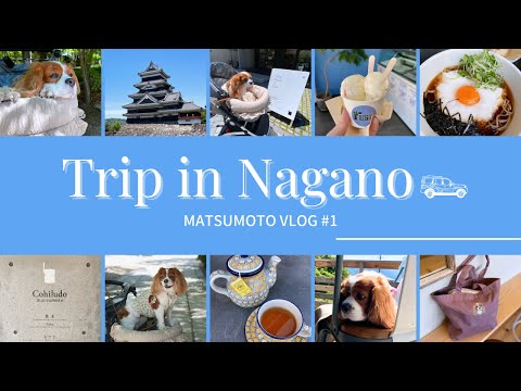 🐶👩🏻‍🦰【わんこと旅行】2年ぶりの長野県松本市へ🚗🐾💨国宝松本城と城下町をゆっくり愛犬と町歩き。前編