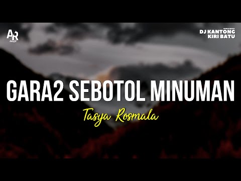 Gara-Gara Sebotol Minuman - Tasya Rosmala (LIRIK)