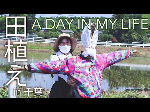 【VLOG】田植えをしに千葉へドライブ｜手作り菜食弁当