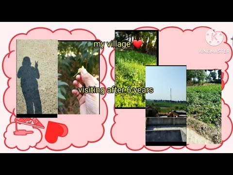 visiting my village after 6 years || beautiful garden 😍 ||aaruhi craft and creation