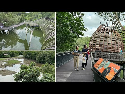 双溪布洛湿地保护区30周年游 30th Anniversary of Sungei Buloh Wetland Reserve