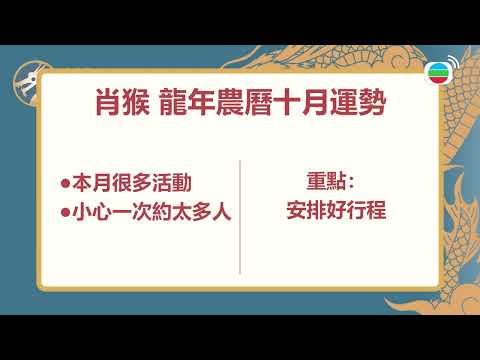 【11月生肖運程】生肖蛇馬切勿貪財注意金錢問題 屬羊人緣佳桃花旺 屬鼠屬雞保持正軌展望未來 - 2024甲辰龍年生肖運程丨張芯熏