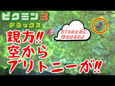 【ピクミン3デラックス】RTA初心者必見‼RTAで使えるバグを利用したショートカットをご紹介vol.1