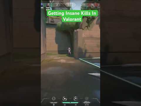 The Most INSANE Kills in Valorant History