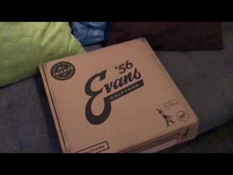 Evans drumheads Calftone Swag Box unboxing