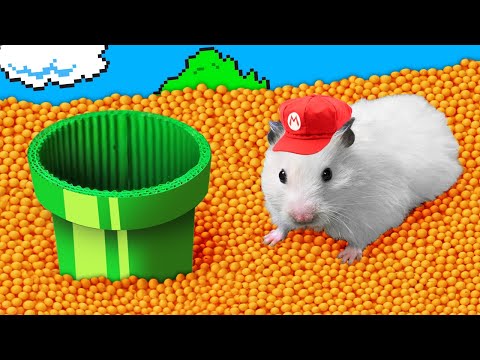 🐹 Hamster Escapes the Colorful Super Mario Maze 🍄