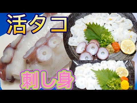 【活タコ刺し身のコリコリ食感が最高過ぎた】　#16　活タコ刺し身