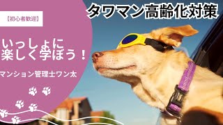 【初心者歓迎】マンション管理士ワン太と一緒に楽しく学ぼう！🐶🏡 タワーマンションは立派だけど、古くなれば修理に大きなお金がかかるんだ。だから、みんなで将来のことを考えて！