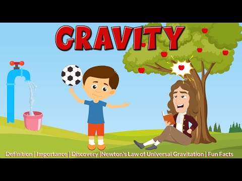 What is Gravity? - Newton's Law of Universal Gravitation - Einstein's Theory of Gravity