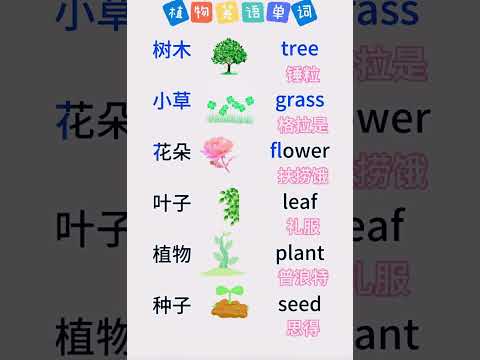 每天学习中文课 #chineselanguage