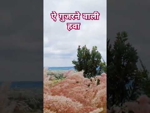 ऐ गुजरने वाली हवा #army #indianarmy #love #song #sandy3dsongs #armylover #explore #shortvideo