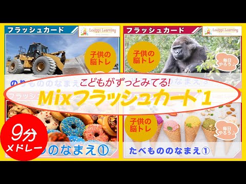 JAPANESE Flashcards Medley Cars Animals Sweets Flashcards for toddlers and kids Educational Video