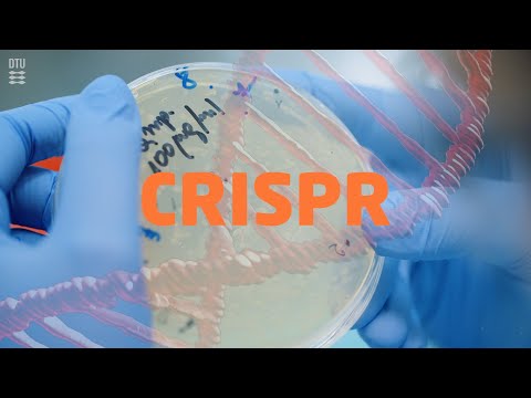 What is CRISPR?