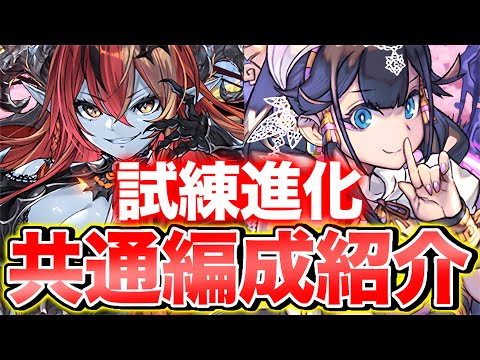 【試練進化】ネフティスとヘラが試練進化！共通編成で最強キャラを楽々GETしよう！！【パズドラ】