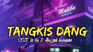 DJ TANGKIS DANG X CE'ST LA VIE X AKU JADI KESEPIAN ( BY DJ SOPAN )