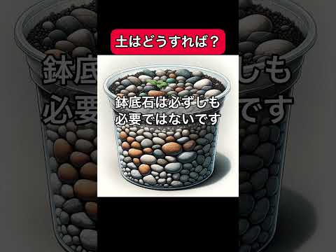 【ためになる】コンテナ栽培はじめ方　#家庭菜園  #ガーデニング  #園芸