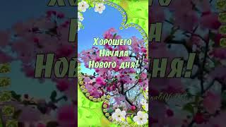 Воскресенье! С Добрым Утром! Хорошего Дня!🌿🪻🌸🌞