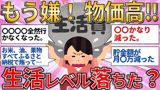 【有益スレ】 もう嫌！ 物価高でどのくらい生活レベル落とした？【ゆっくりガルちゃん解説】