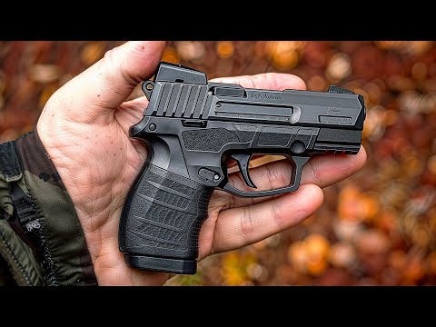 10 Best Guns Under $300