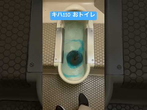 キハ110のトイレだよ