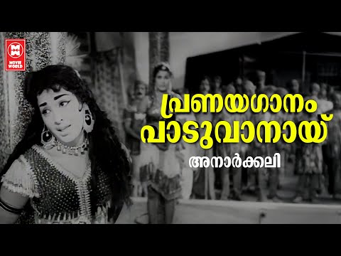 Pranayaganam Paduvanayi | Anaarkali (1966) | P Susheela | Prem Nazeer | Old is Gold