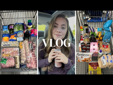 Shop With Me at Aldi and Walmart Vlog