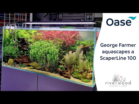 George Farmer - Riverwood Aquatics - ScaperLine 100 Aquascape