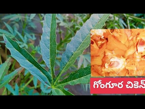 గోంగూర చికెన్ కర్రీ|gongura cheken curry|pvpvillagekichen|teluguchanel|