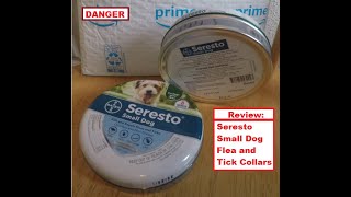 The Chihuahua Adventures - E1.5 - Review 2: Seresto Flea and Tick Collar