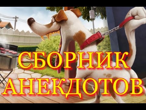 Анекдоты, юмор, хорошее настроение.