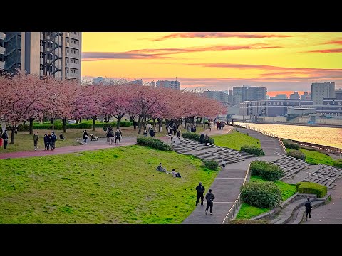 Tokyo Walk in Minami-Senju, Japan • 4K HDR