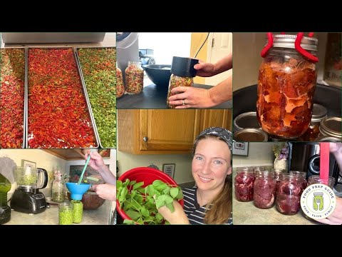 1 Week of Food Preservation | #everybitcountschallenge