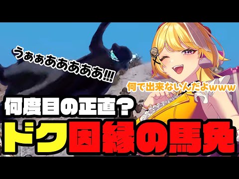 【#ストグラ切り抜き 】ドク号泣？因縁の馬免に終止符！【ジョアンナ町田/毒多博士/豆やん/ねずみさん/不二子キャスパー/キミトス/元難波芽久未】