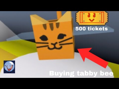 I buy tabby bee