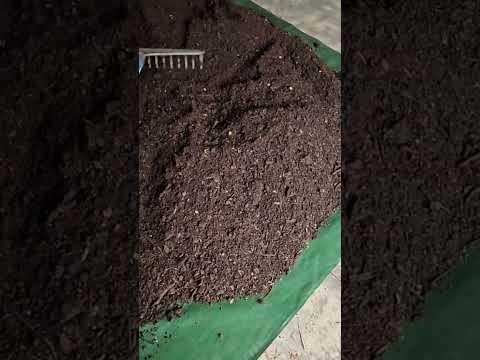 #raking #drying #vermicomposting #redwigglers #farming #vermicompost #wormcastings #wormfarming