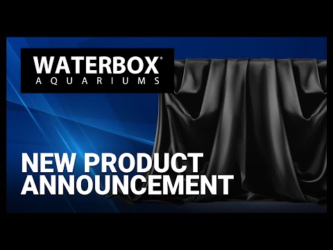 New Product Announcement!