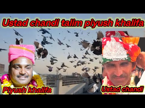 Ustad chandi talim Piyush Khalifa Banaras shok urban pigeon