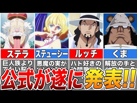 【ONE PIECE】悪魔の実ついに判明！エッグヘッドで活躍したキャラたちの裏設定を徹底解説！【ゆっくり解説】