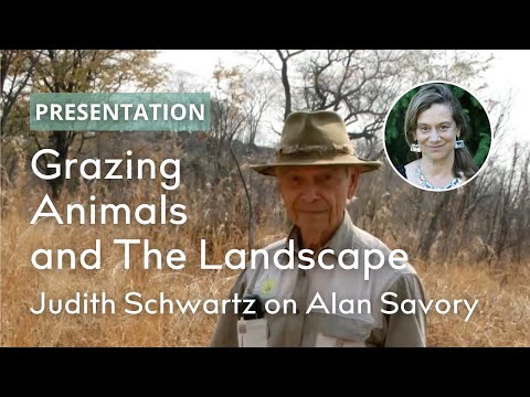 Alan Savory's Insights: How Grazing Animals Affect the Landscape